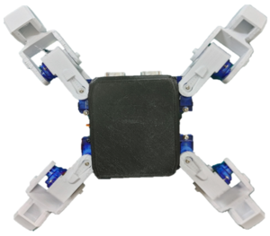 FDC Quad Bot